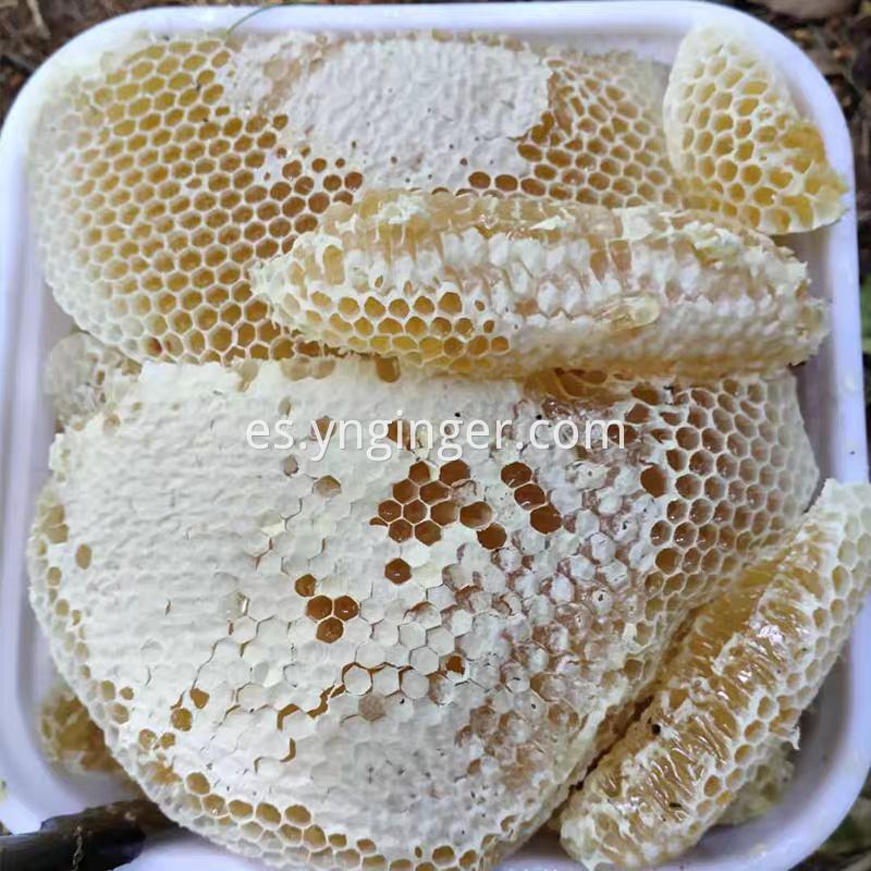 Miel Honey